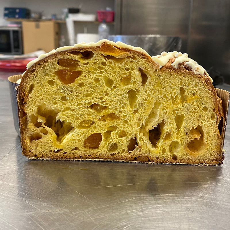 Colomba Tradizionale albicocca e cioccolato bianco